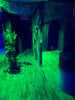 Escape Reality - Laser Tag Family Party Pack